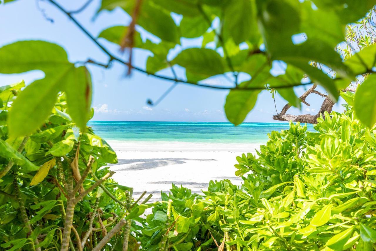 Апартаменти Surfescape Zanzibar Ківенґва Екстер'єр фото