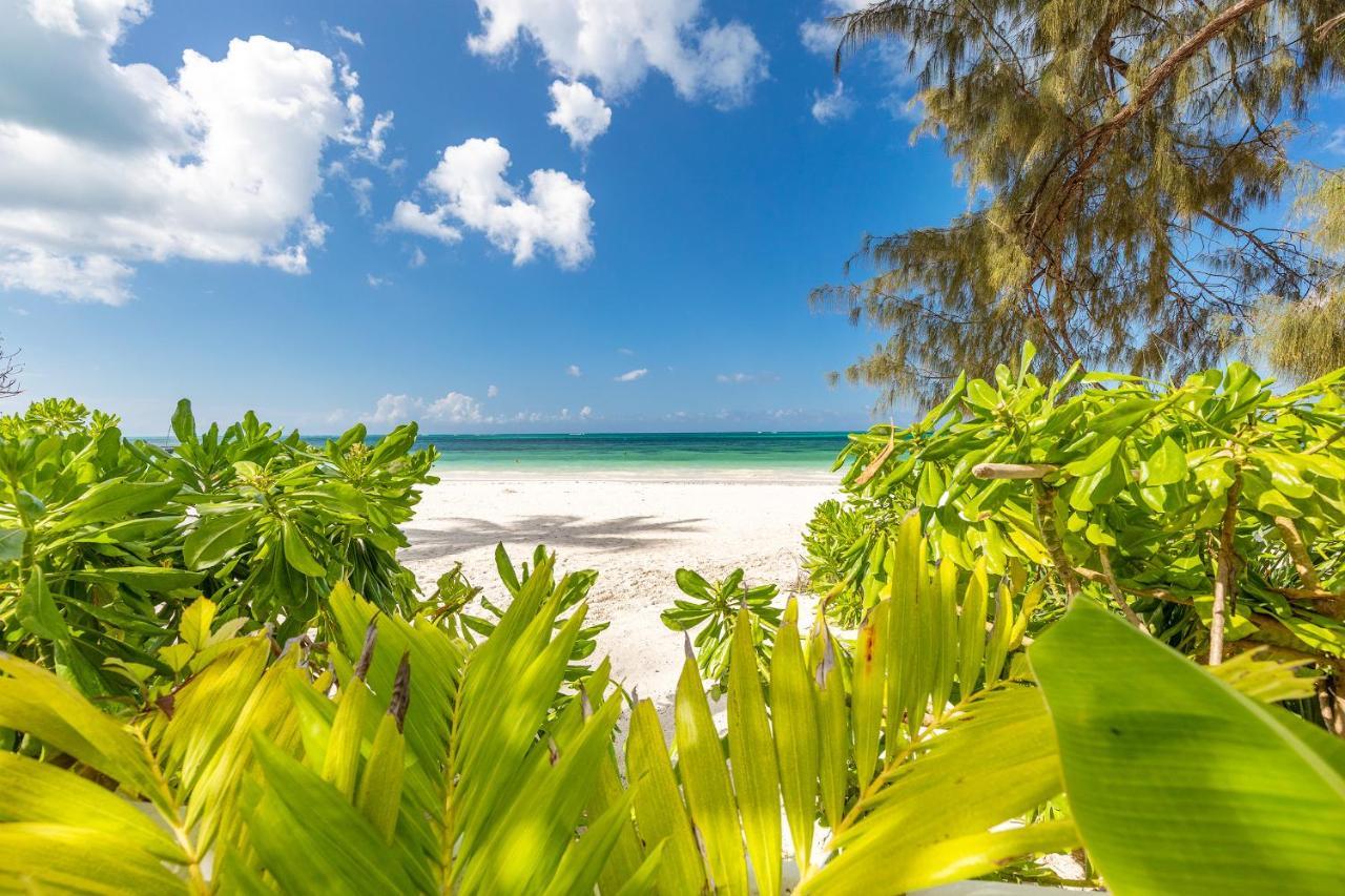 Апартаменти Surfescape Zanzibar Ківенґва Екстер'єр фото